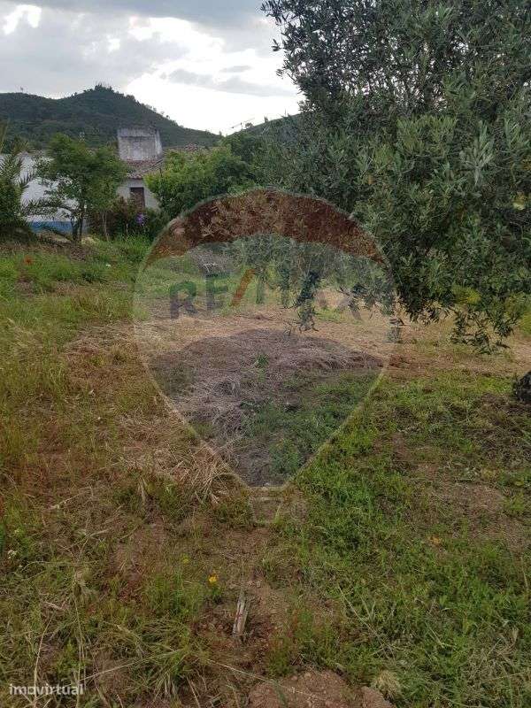 Quinta  para venda - Grande imagem: 2/16