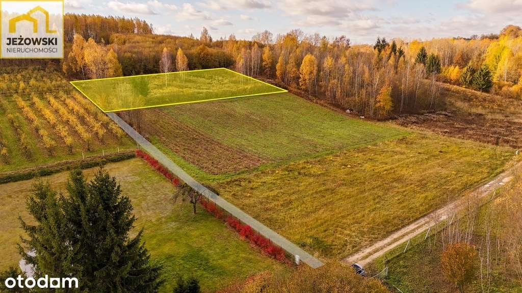 Widokowa działka 36 arów,  5 km od Rynku. - Pełny obrazek: 4/19