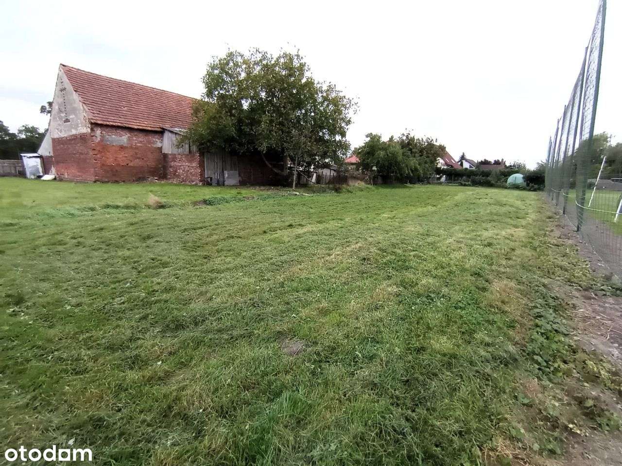 Dom wraz budynkami gospodarczymi na działce 18 ar - Pełny obrazek: 5/10