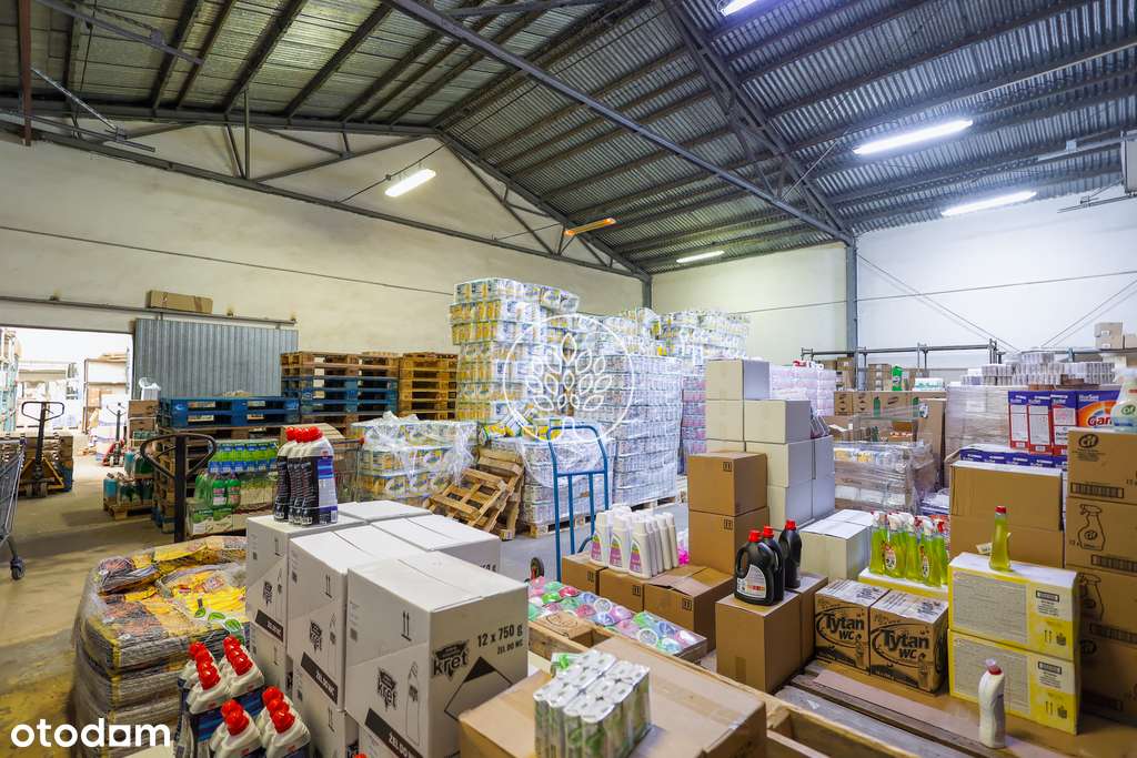 Hala magazynowa w kapitalnej lokalizacji-Szajnochy - Pełny obrazek: 1/16