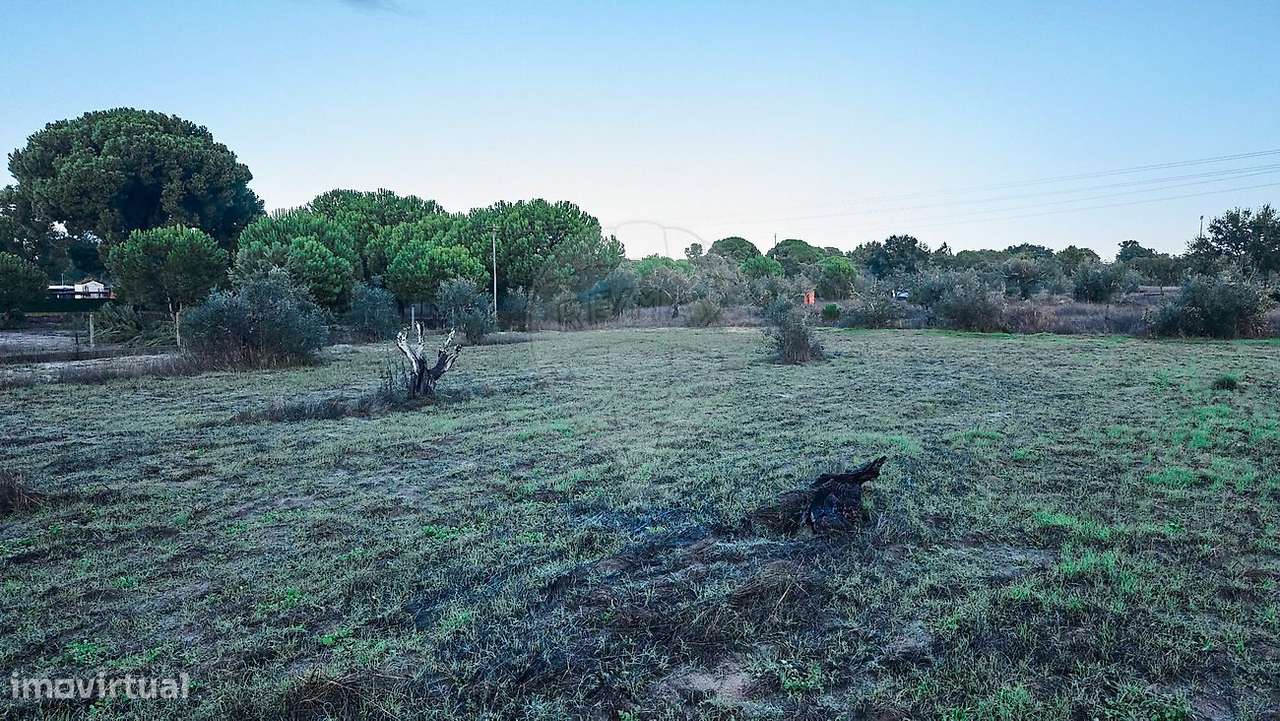 Terreno  para venda-16