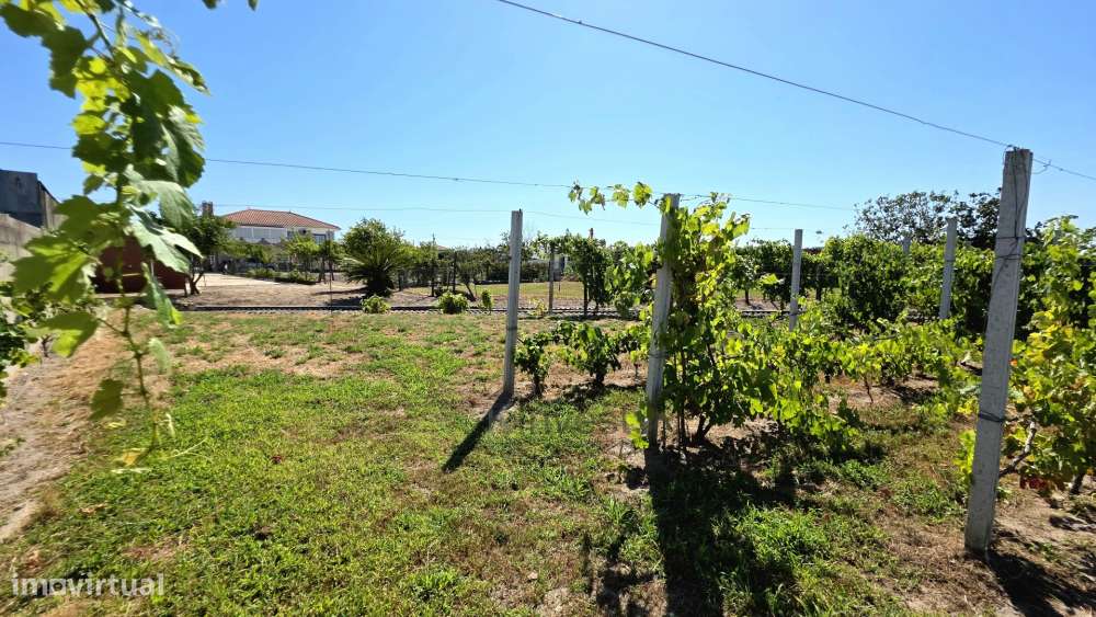 Quinta  com Moradia T6, Casa T2, Piscina Aquecida -  Salvaterra de Mag-17