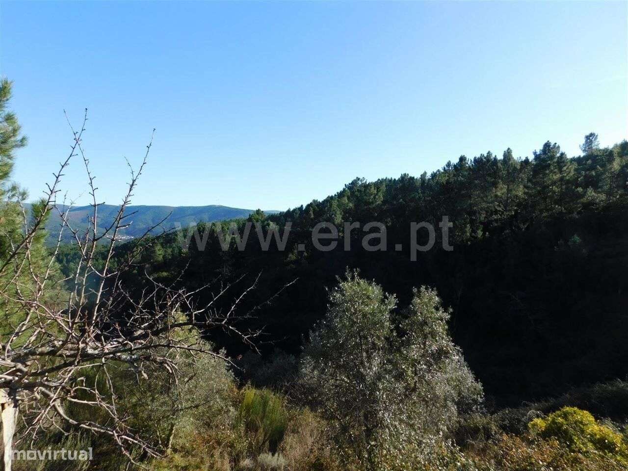 Terreno / Covilhã, Aldeia de São Francisco de Assis - Grande imagem: 2/7