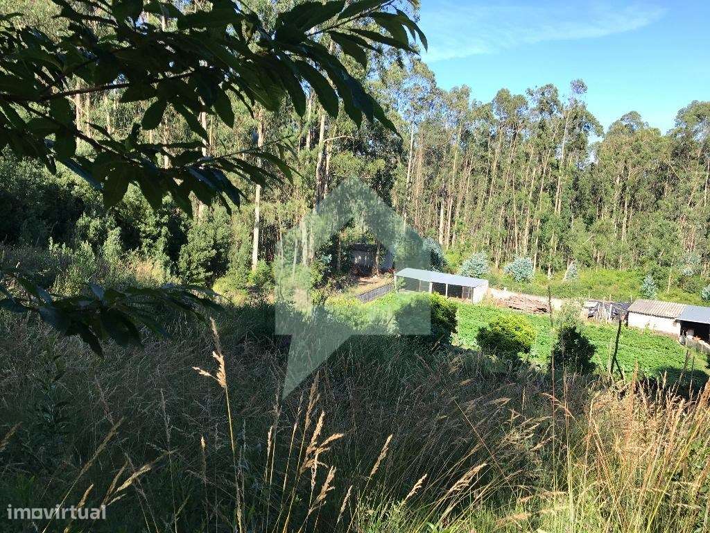 Terreno para moradia, Creixomil, Barcelos - Grande imagem: 4/10