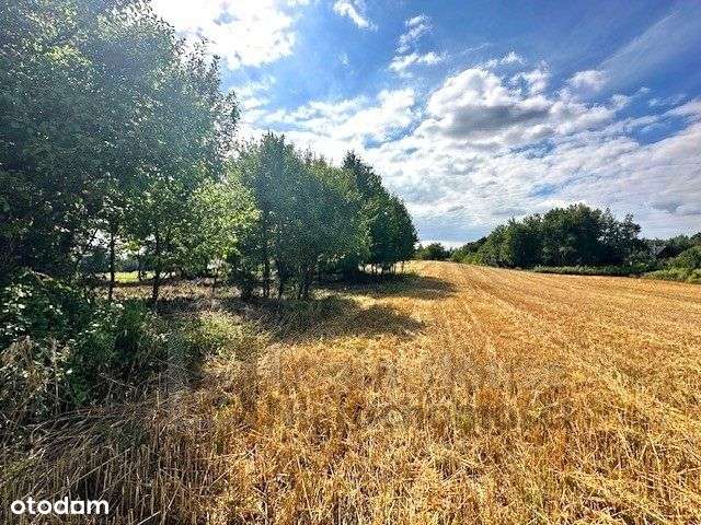 Działka budowlano-rolna niedaleko Kazimierza-1