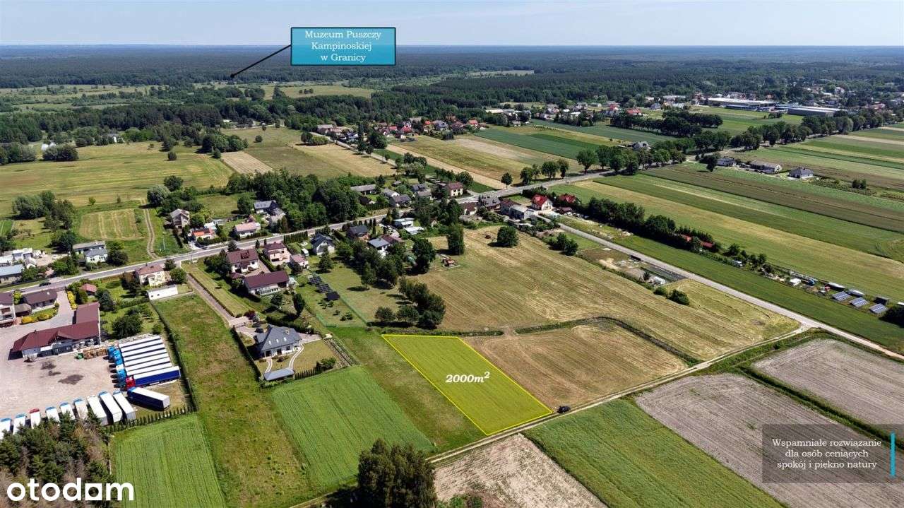 Na skraju Puszczy Kampinoskiej - Pełny obrazek: 4/13