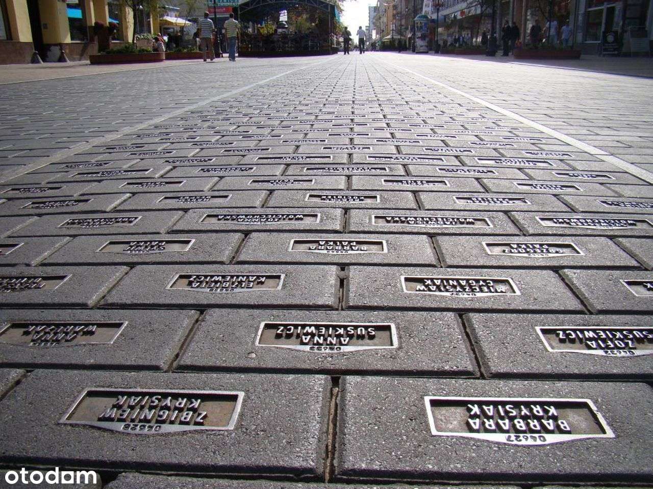 Na sprzedaż wyjątkowa kamienica przy ul. Piotrkowskiej - Pełny obrazek: 5/5