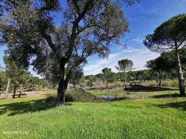 Terreno com 8.5 hectares casa para reconstruir - Grande imagem: 3/52
