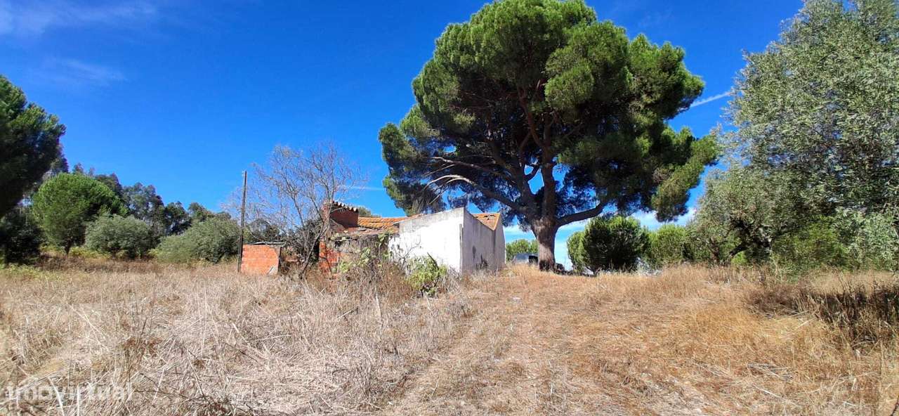 Terreno misto, com ruína para recuperar - Almeirim / Fazendas de Al... - Grande imagem: 4/13