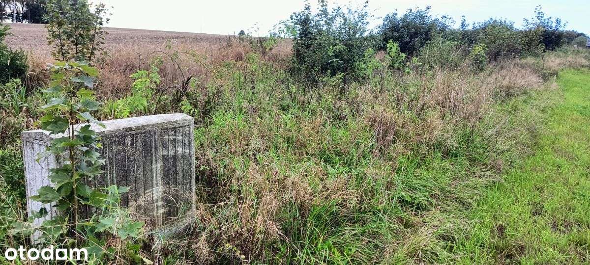 Działka w Wyszecinie k. Luzina z Mpzp-5