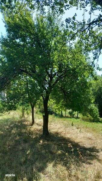 Teren intravilan 1700 m2 cu toate utilitatile oras Babeni str Romani - Imagine principală: 5/6