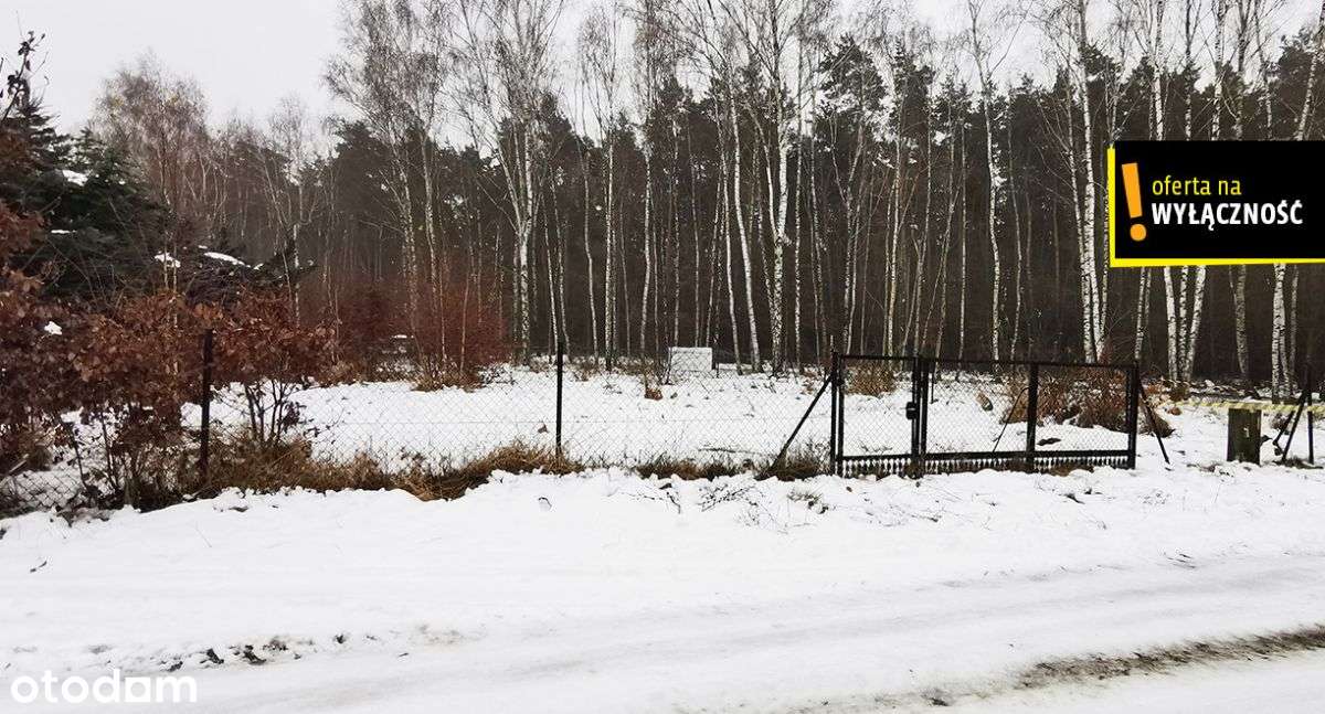 Działka pod Twój dom Borowo Młyn - Pełny obrazek: 5/6