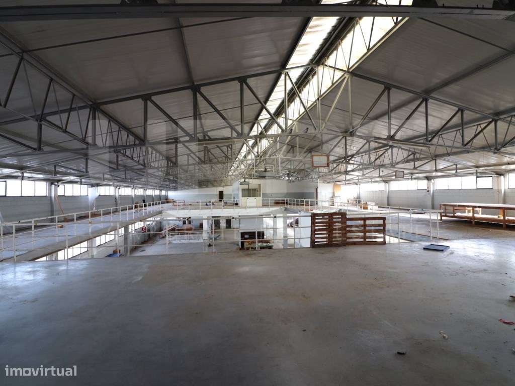 Armazém | VENDE | Olival (VN Gaia) - Grande imagem: 2/17