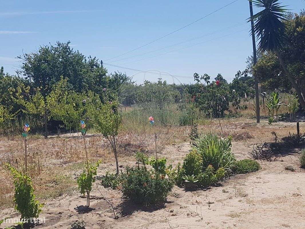 Quinta  para venda-3