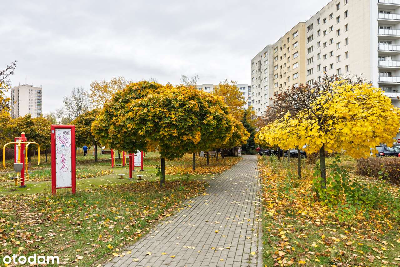 Słoneczne mieszkanie przy metrze Imielin – zielony Ursynów-15