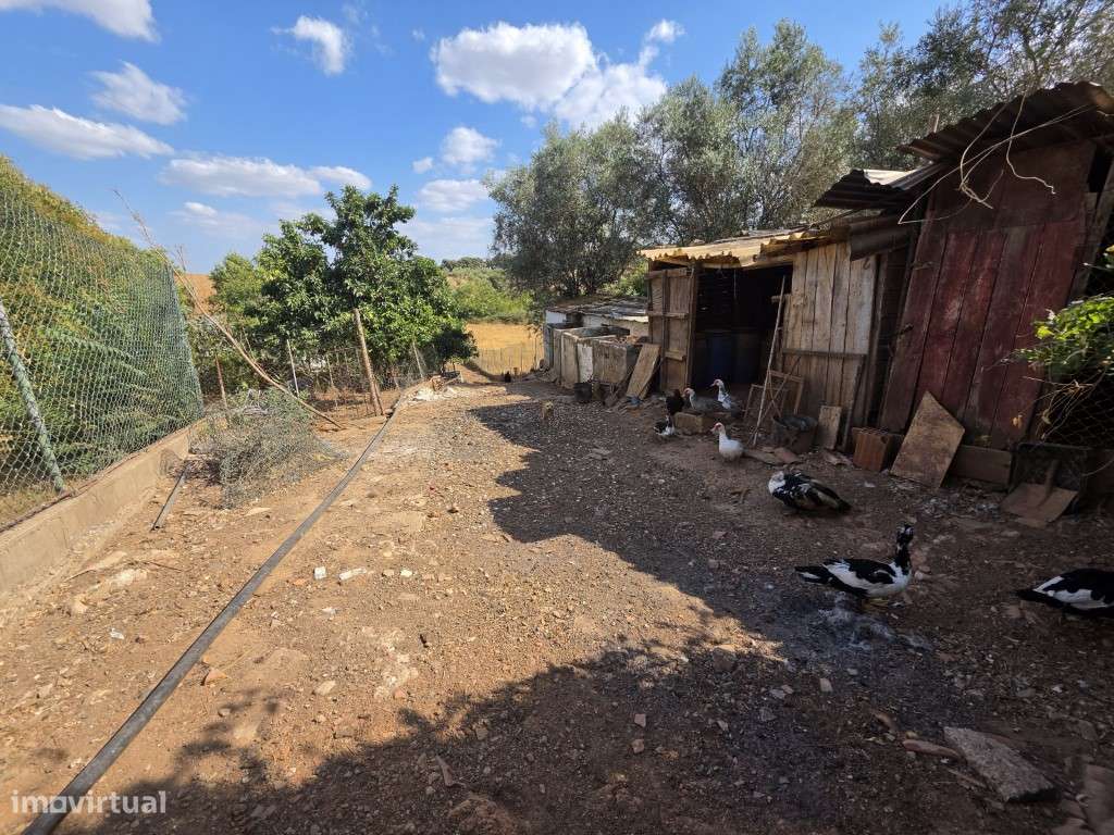 Moradia T3 em Vila Viçosa, com garagem, inserida em lote de 3500 m2-7