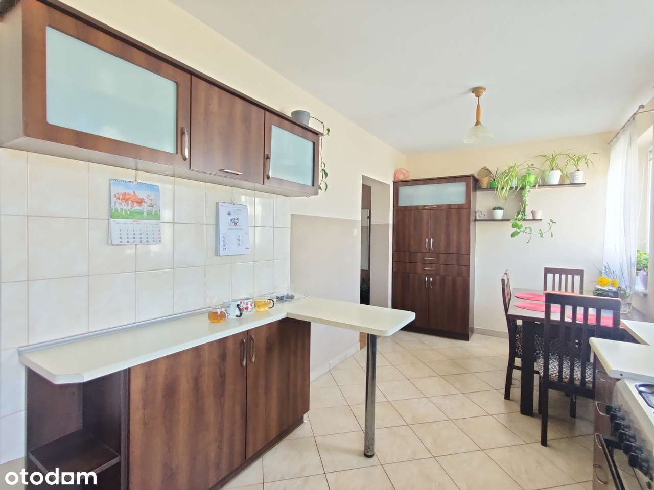 Mały domek z dużą działką-6