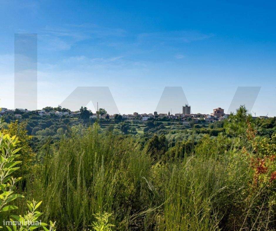 Terreno de 9.000 m2 em Milhundos com a Melhor Vista Panorâmica sobre-11