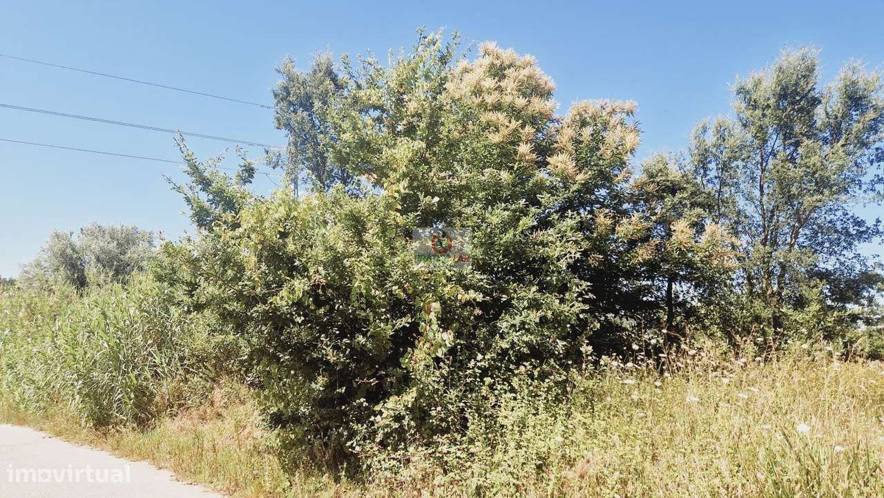 Terreno  inserido em Zona RAN - Grande imagem: 2/5