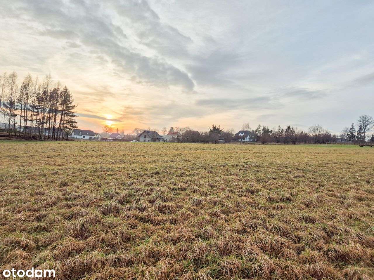 Działka, 1 336 m², Rybno-17