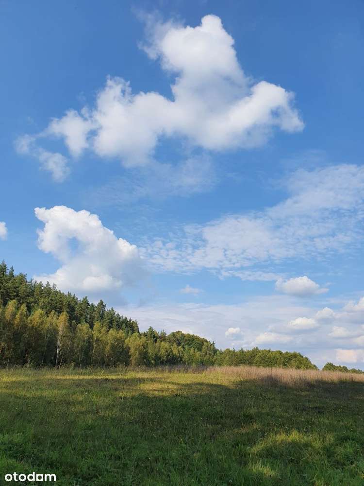 Piękna działka z "oczkiem", w sąsiedztwie zabudowa-10