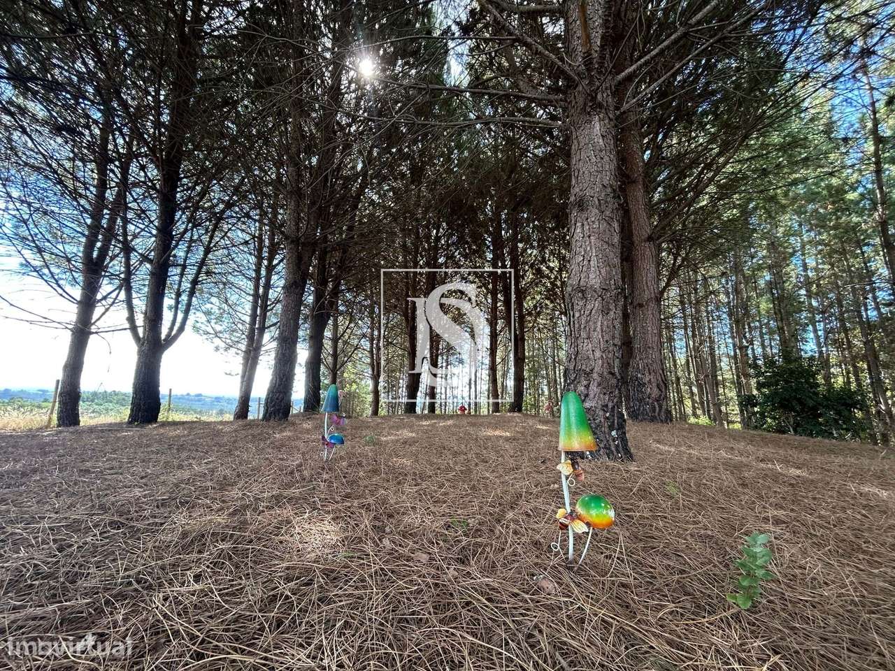 Quinta com 16500m2-54