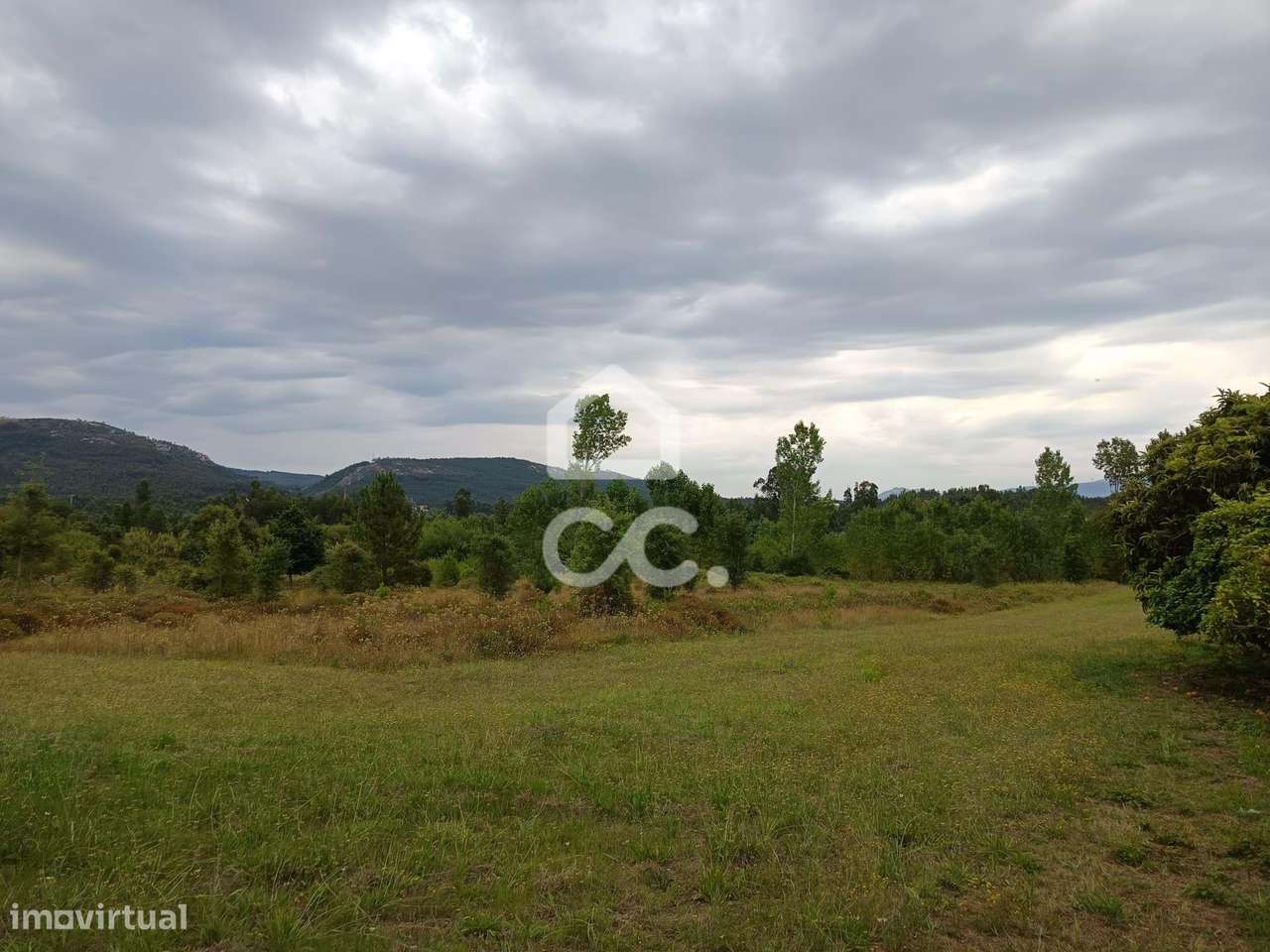 Terreno com 54.809m2 em Vila Nova de Poiares. - Grande imagem: 1/7