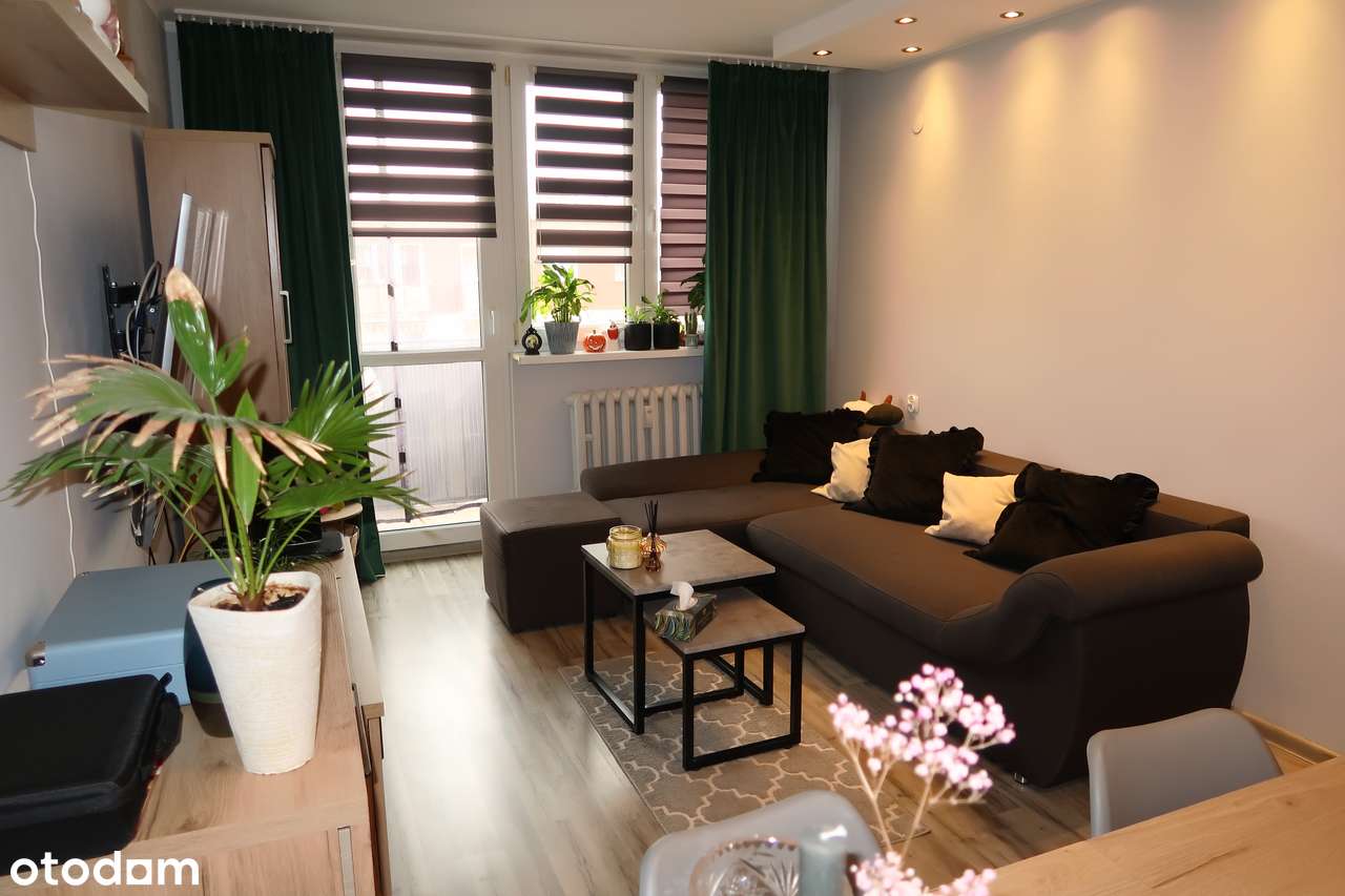 Sprzedam 3 pokojowe mieszkanie z osobną kuchnią - Pełny obrazek: 5/12