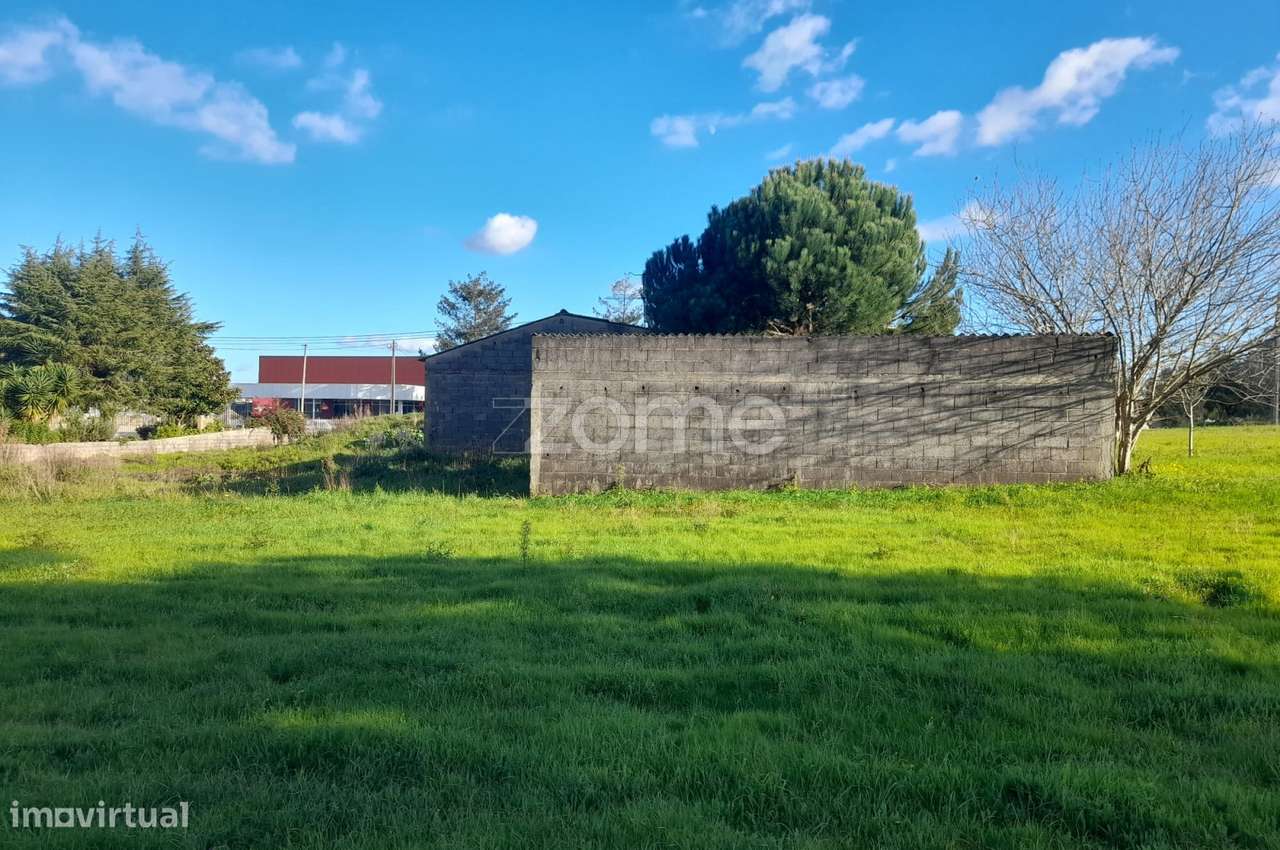 Armazém com terreno para construção junto ao IC2 - Grande imagem: 2/19