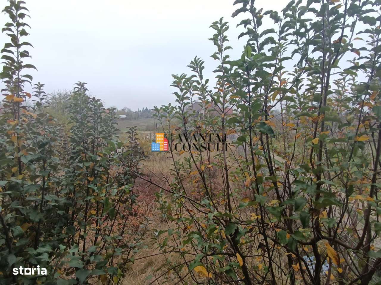 Vanzari Case / Vile Clinceni-12