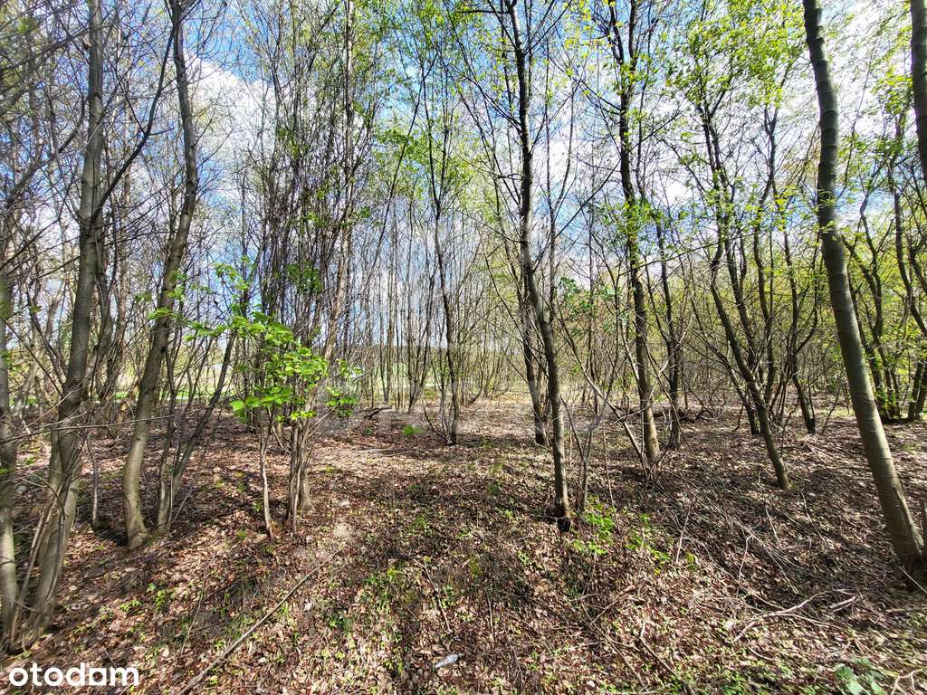 Działka zagrodowa RM/ 1, 33 ha/media/MPZP/bez prow-2