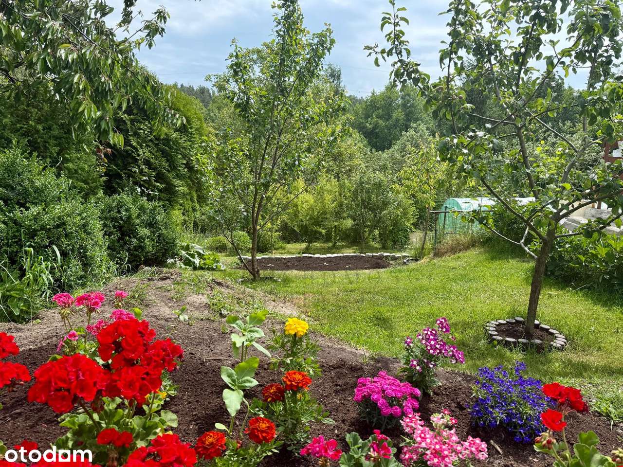 Działka ROD Zielony z domkiem, zadbana-0