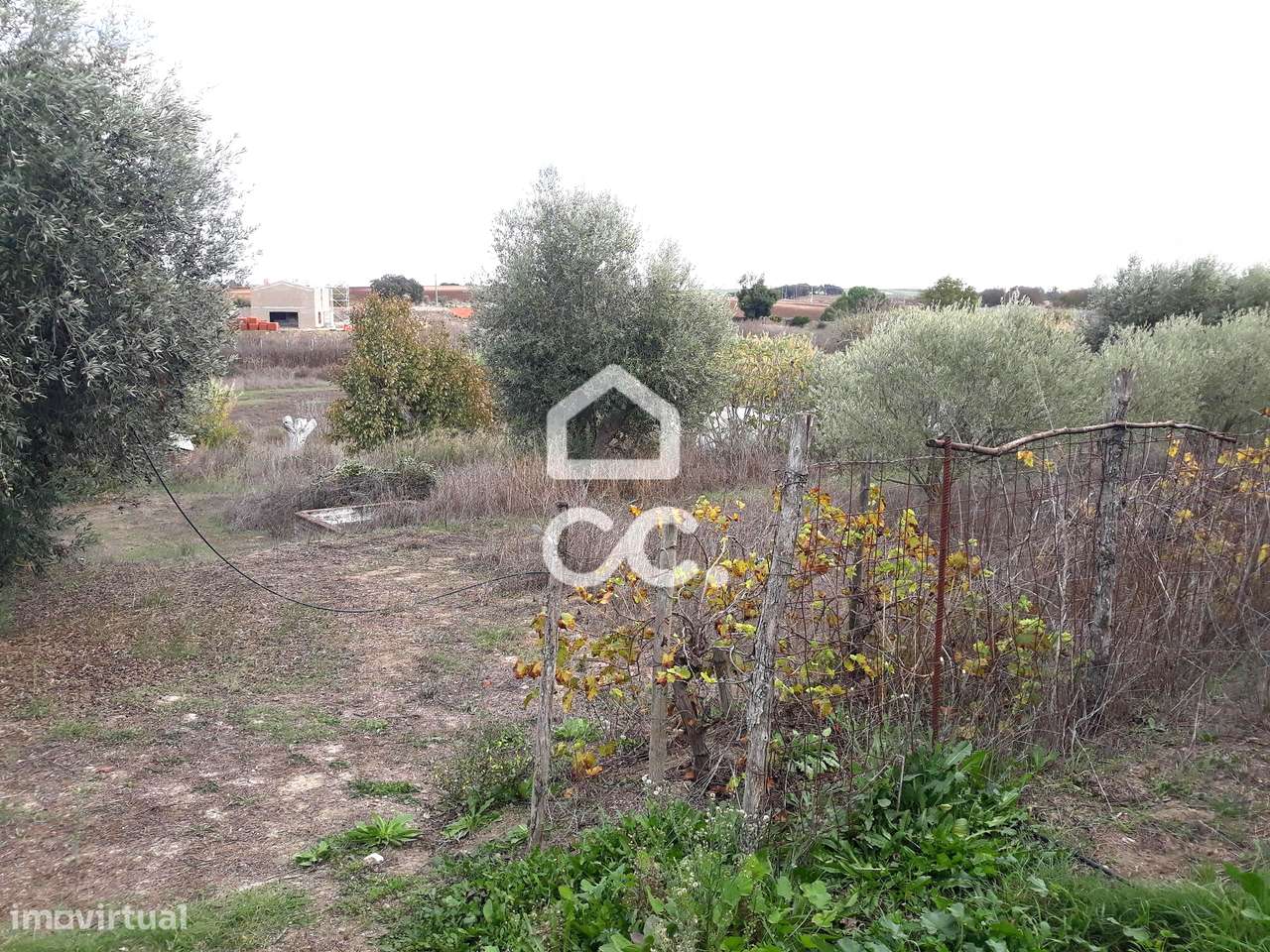 Quinta  em Beringel-23