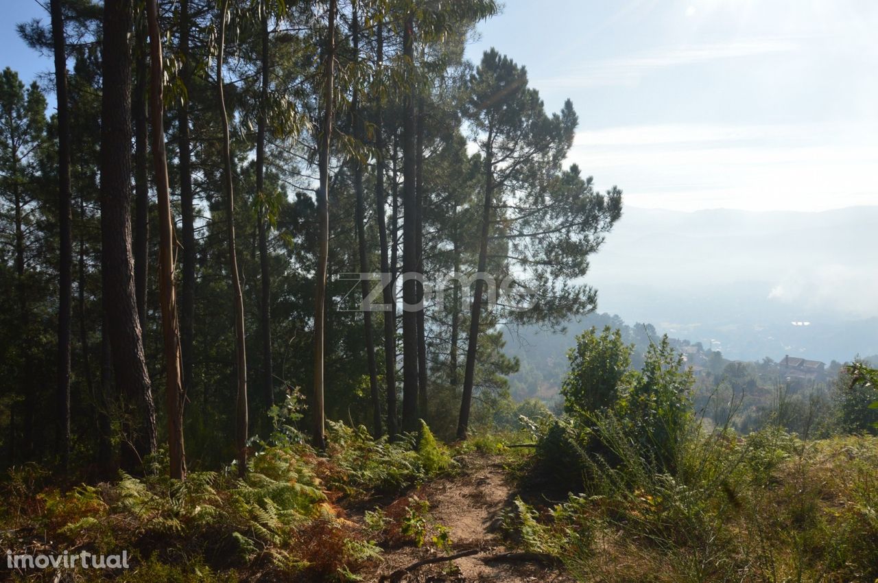 Terreno com 32.500m2 em Celorico de Basto!