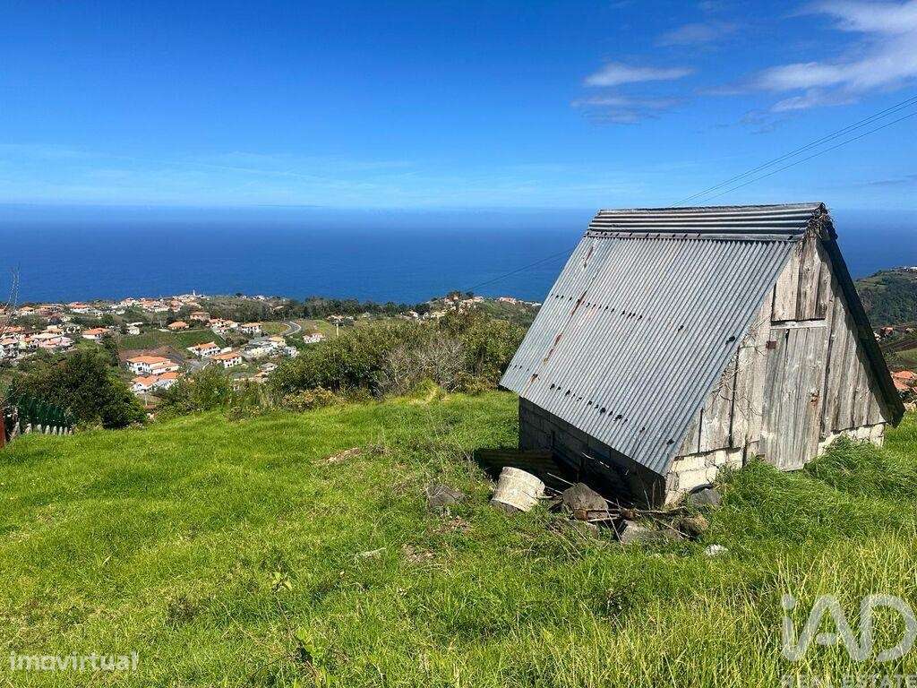 Terreno para construção em São Jorge de 1640,00 m2 - Grande imagem: 5/16