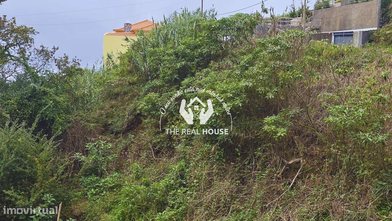 TERRENO - Ponta do Sol - Grande imagem: 3/6