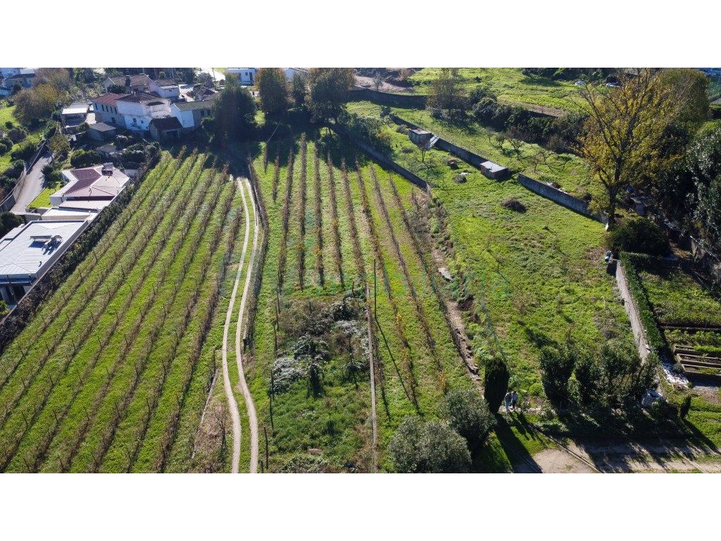 Terreno Urbano, Venda, S. Miguel Vizela