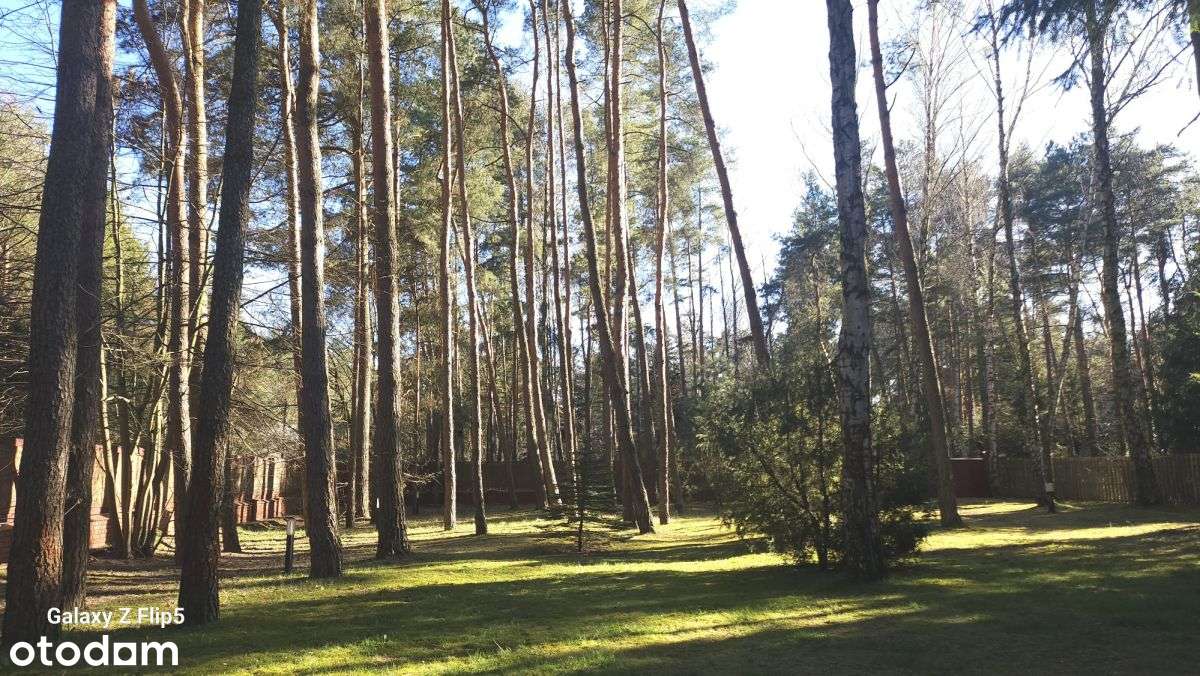 Przestronny dom Konstancin starodrzew-1