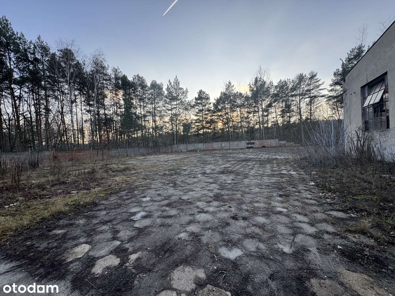 Magazyny od 60 m² do ponad 500 m² tylko 4,5zł netto/m2 - Pełny obrazek: 4/14