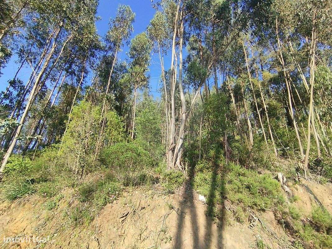 Terreno  para venda - Grande imagem: 2/4