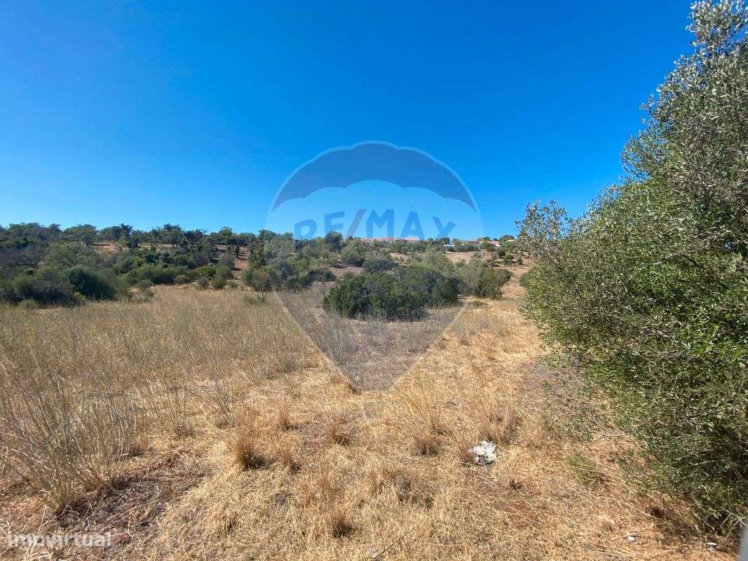 Terreno  para venda - Grande imagem: 3/5