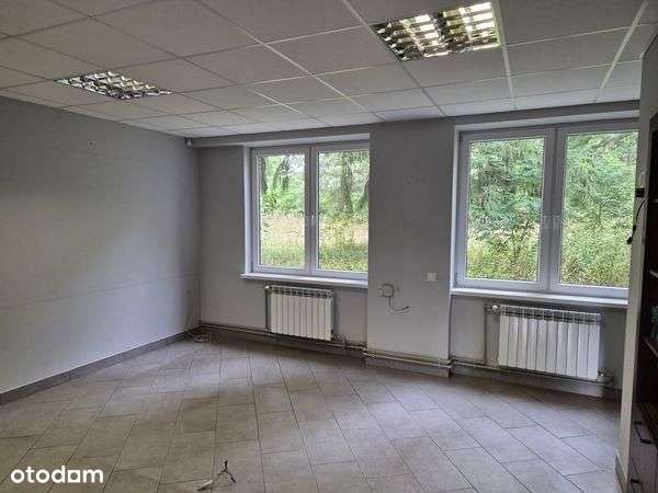 Lokal użytkowy, 5 024,50 m², Pionki-4