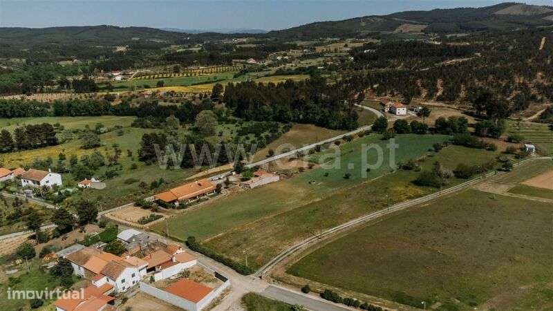 Terreno / Fundão, Enxames - Grande imagem: 5/9