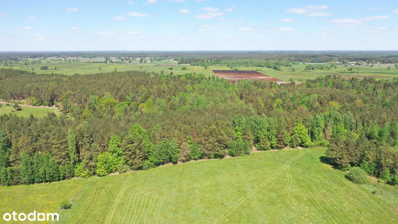 Siedlisko i tereny rolno-leśne - Pełny obrazek: 5/20