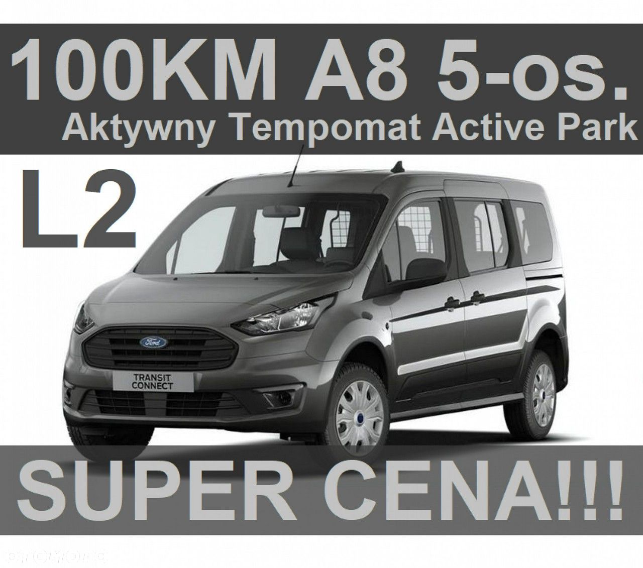 Ford Transit Connect - 1