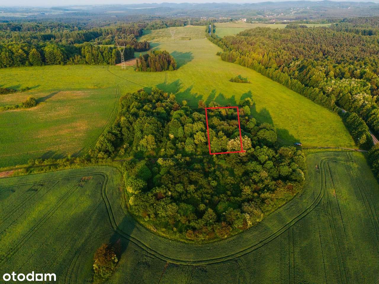 Ostatnia działka budowlana w lesie- 2173 m2 - k. Zamku Ogrodzieniec-2