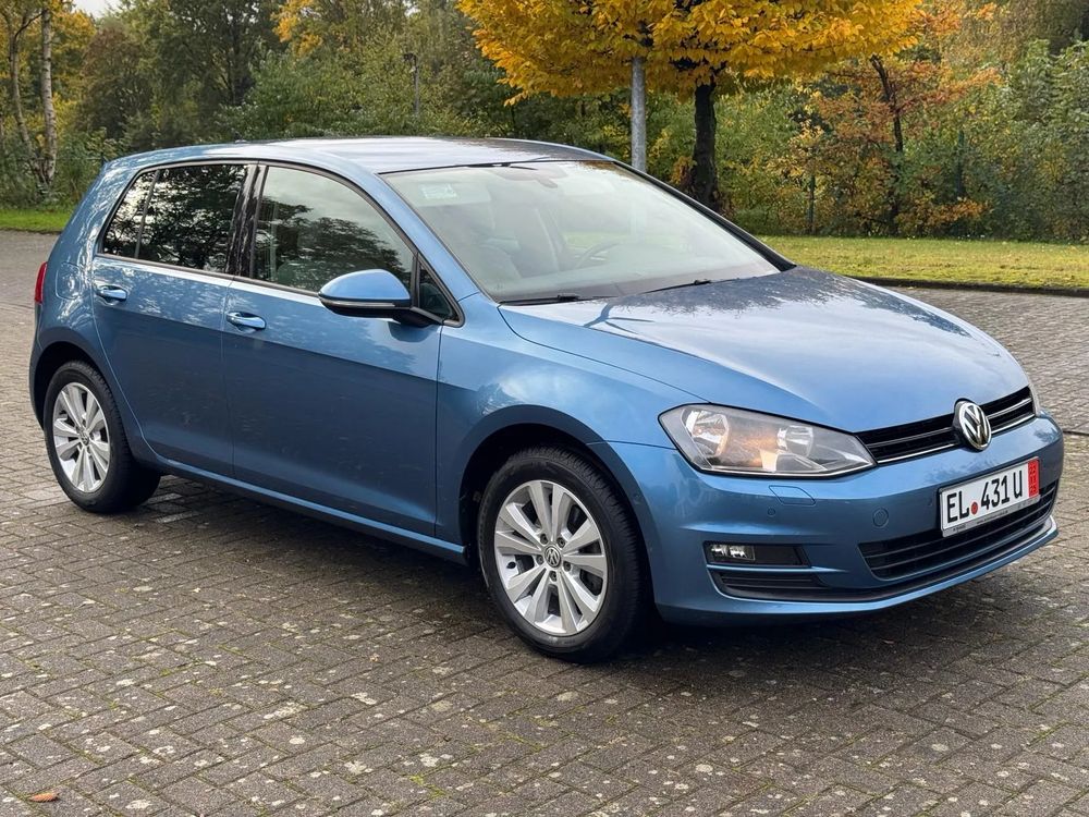 Volkswagen Golf VII [2012 - 2020] 1.6 TDI DPF BlueMotion 2013
