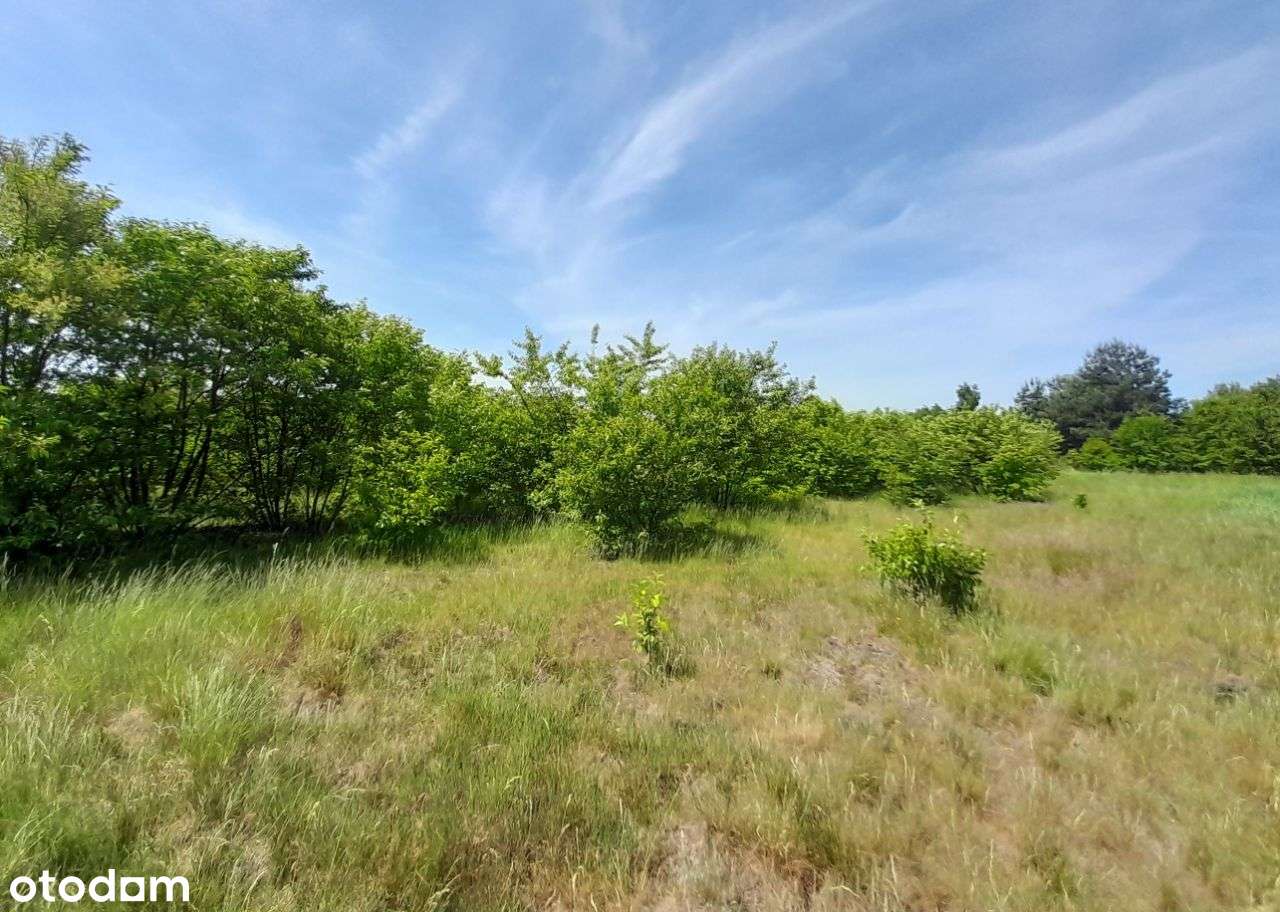 Sprzedam dużą działkę w Żarkach - 18,5a !!!-11