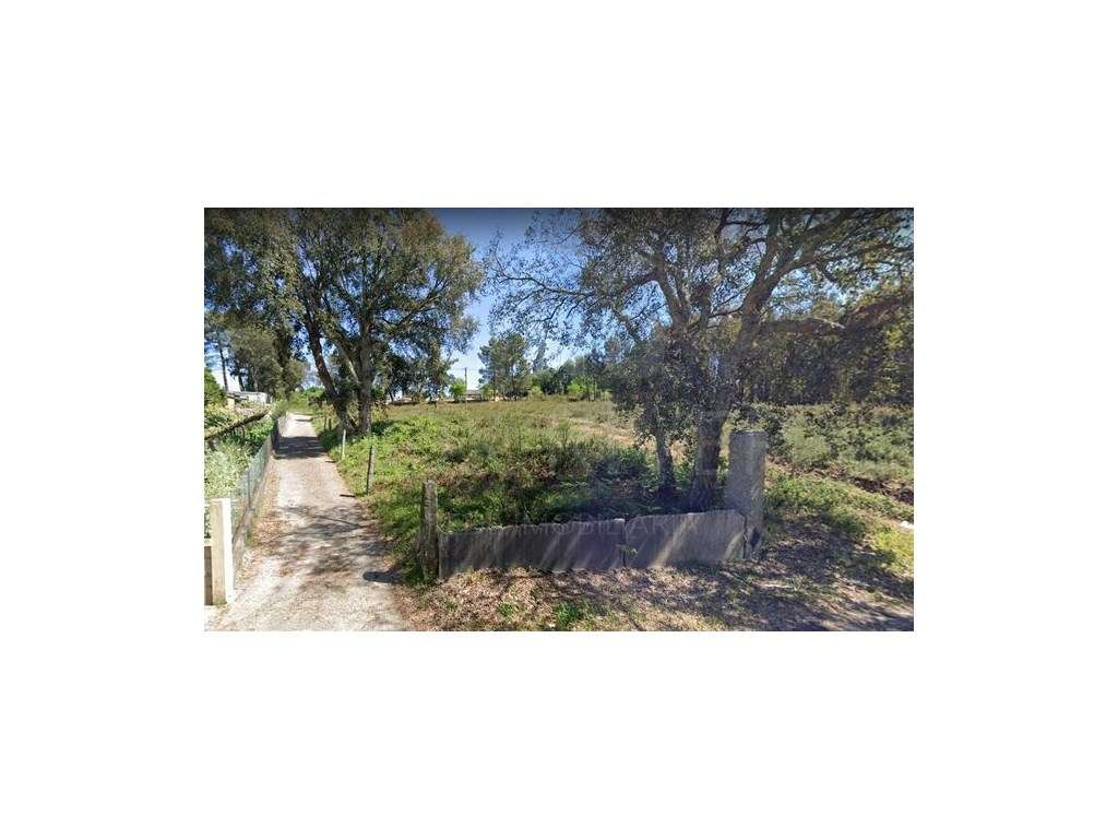 Terreno para Construção em Cerdal, Valença - Grande imagem: 5/5