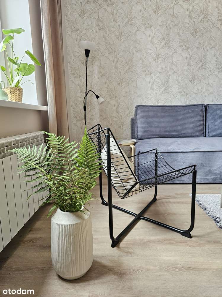 Mieszkanie w kamienicy, 56m2, Centrum Bielska-Białej - Pełny obrazek: 3/15